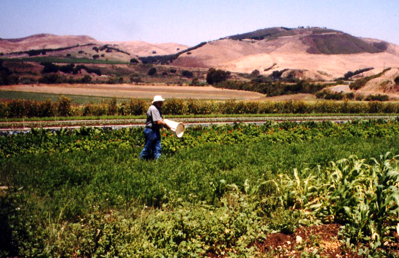Deke sweeping for insects 1993