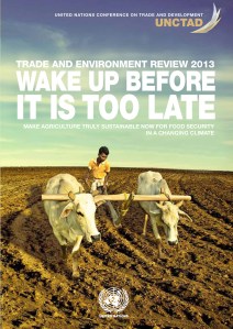 Wake Up Before It Is Too Late UNCTAD 2013.